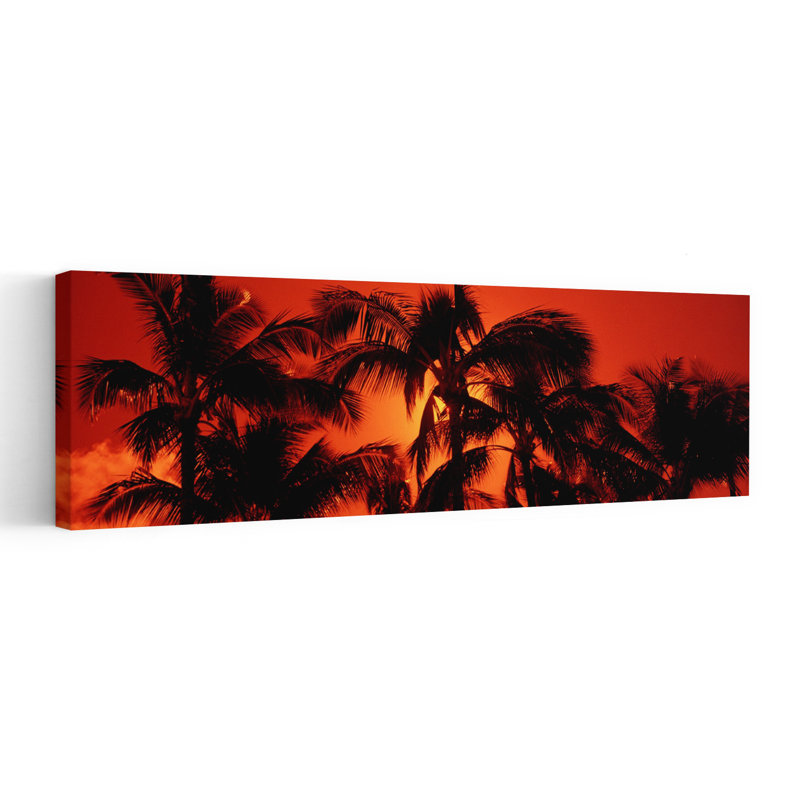 Faible angle de vue de palmiers au crépuscule, plage de Kalapaki, Kauai, Hawaï, États-Unis, H 60 po x l 20 po