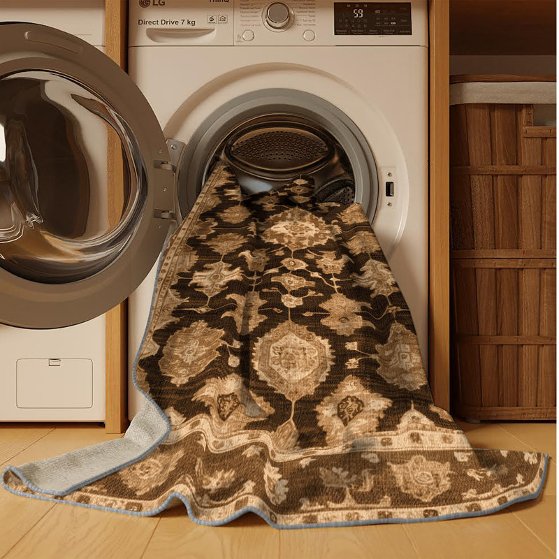 Machine Washable Overdyed Brown Area Rug, Rectangle 3' x 5'