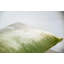 Ombre Mini Rectangle Velvet Pillow Cover & Insert-90623108