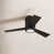 Oil Rubbed Bronze with Dark Brown Blades