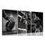 3 Piece Wrapped Canvas Print-824815079