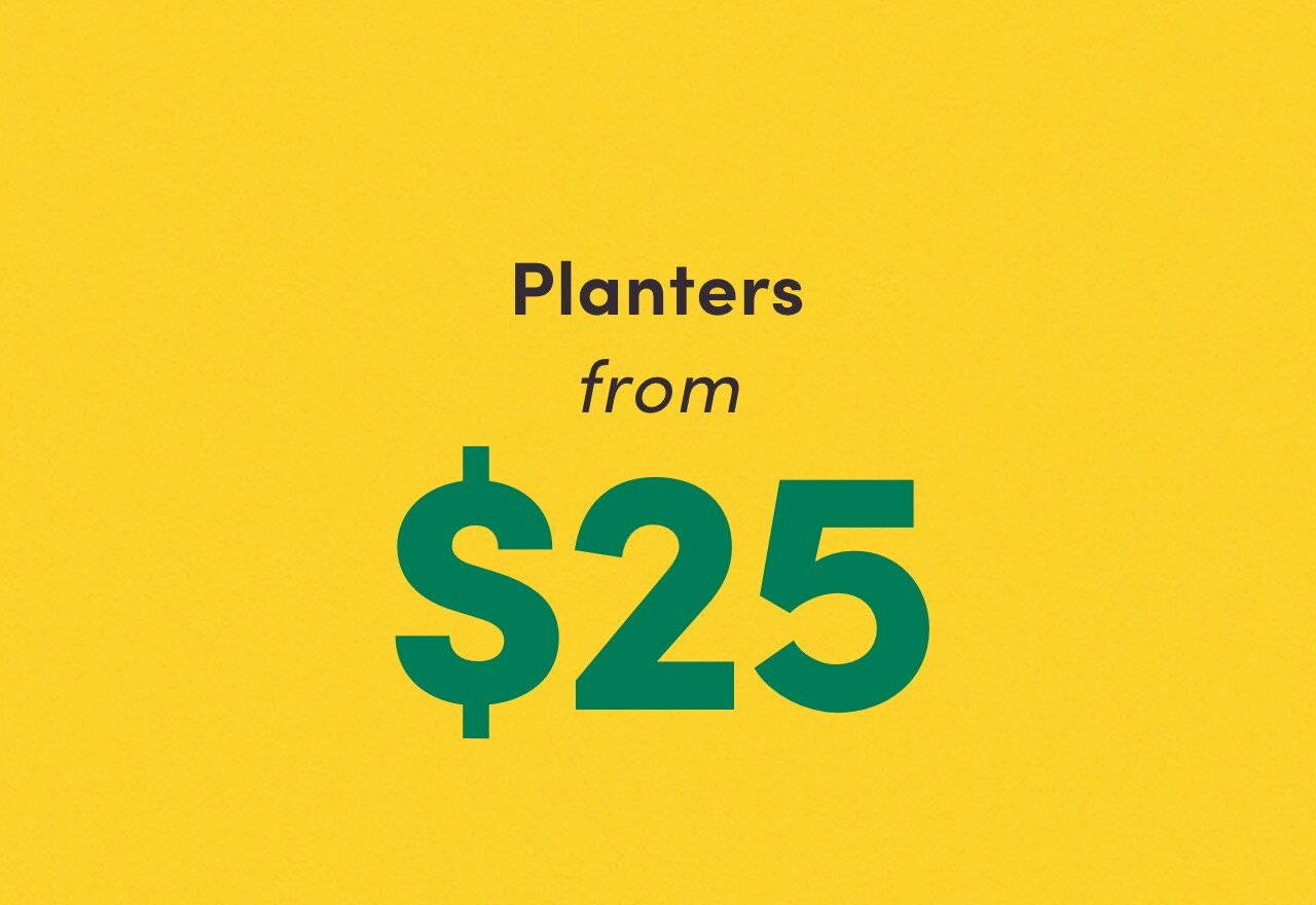 SALE Planters From 25 2024 Wayfair   SALE! Planters From %2425 