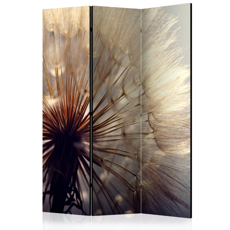 Olvera Solid Wood Folding Room Divider, 3