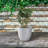 Karola Pot Planter-1267224134-1267224138