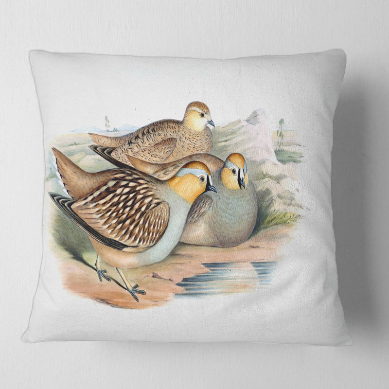 Housse de coussin carré et insert, 16" x 16"