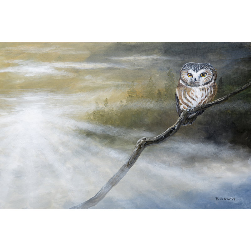 Misty Wild II, H 12 po x l 18 po x P 1,25 po