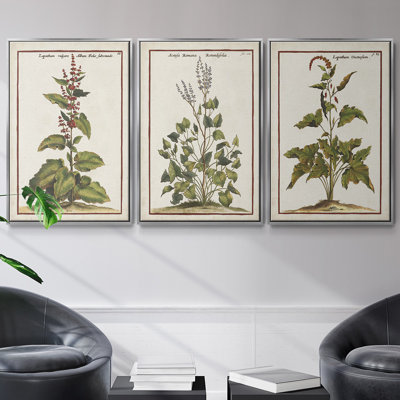 «Munting Botanicals IV», ensemble de 3 toiles encadrées