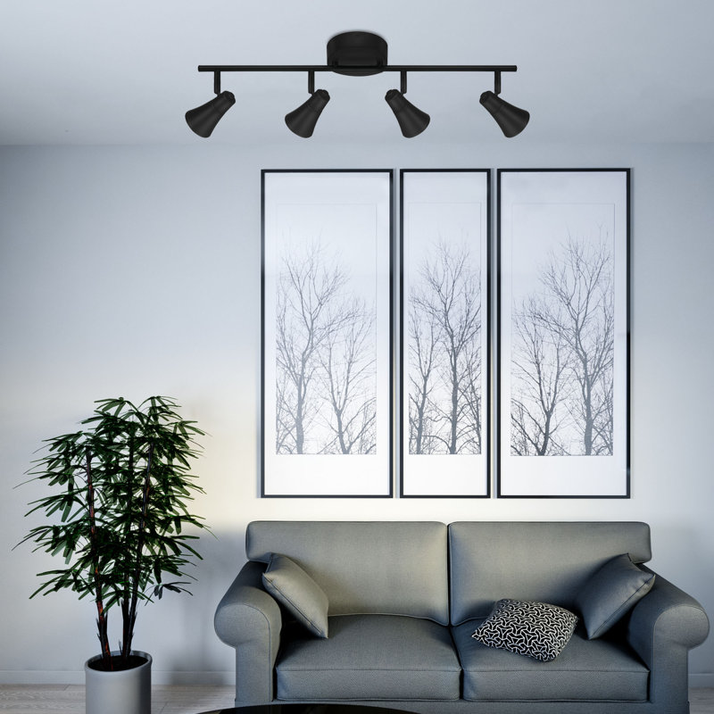 Ensemble de rail d'éclairage 4 lumières 24 po Cobbins, Noir mat