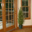 The Holiday Aisle® Cedar Tree-15047223