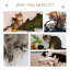 Tewksbury 111cm H Cat Tree