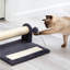  Centre de jeu Kitty Scratch N 'Play