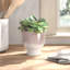 Handmade Ceramic Pot Planter