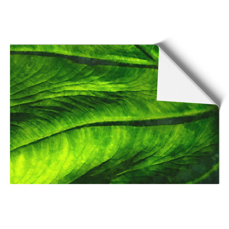 Veins of a Green Leaf 1 Piece Wall Art, 21cm H x 30cm W x 0.1cm D