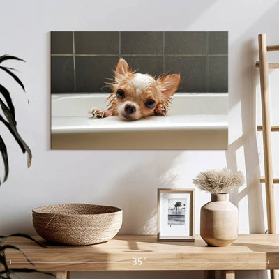 Brampt Chihuahua Bathing