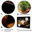 Aroma Cuban Food Impression IV - Cuba, ensemble d'art mural-107751542