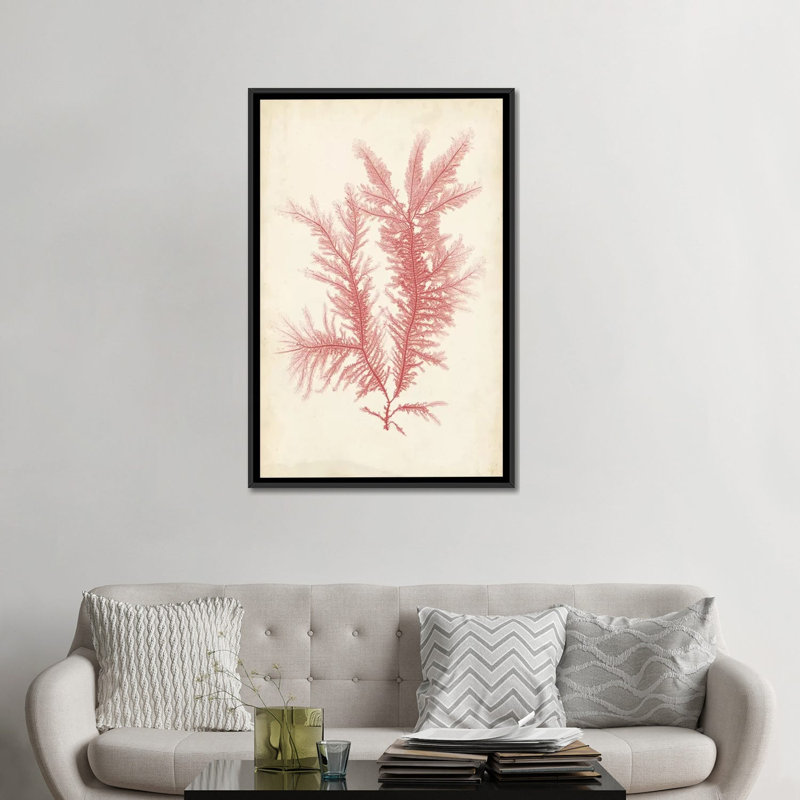 «Coral Sea Feather II», reproduction sur toile, H 26 po x l 18 po x P 1,5 po, Toile avec cadre noir, Pas de tapis