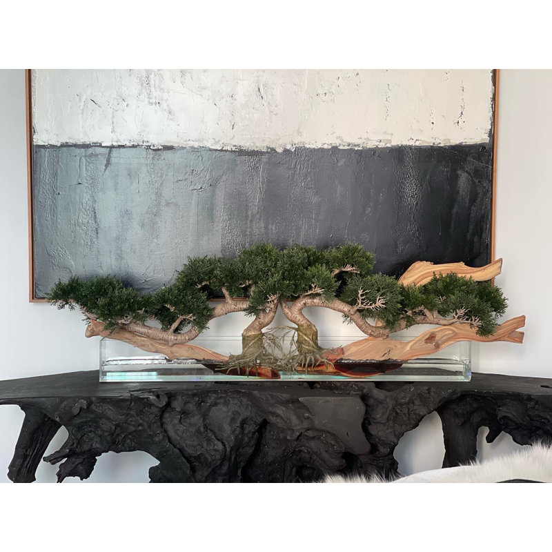 Faux Bonsai Tree in Planter, 10" H x 40" W x 8" D, Dark Green