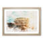 The Colisium in Rome Italy - Picture Frame Painting Print-56854610-56854612