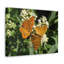 No Frame Print on Canvas