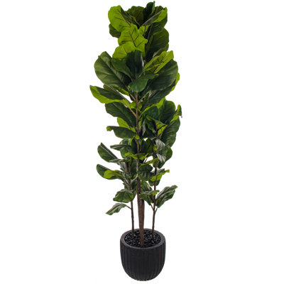 72 po plante verte violette en pot