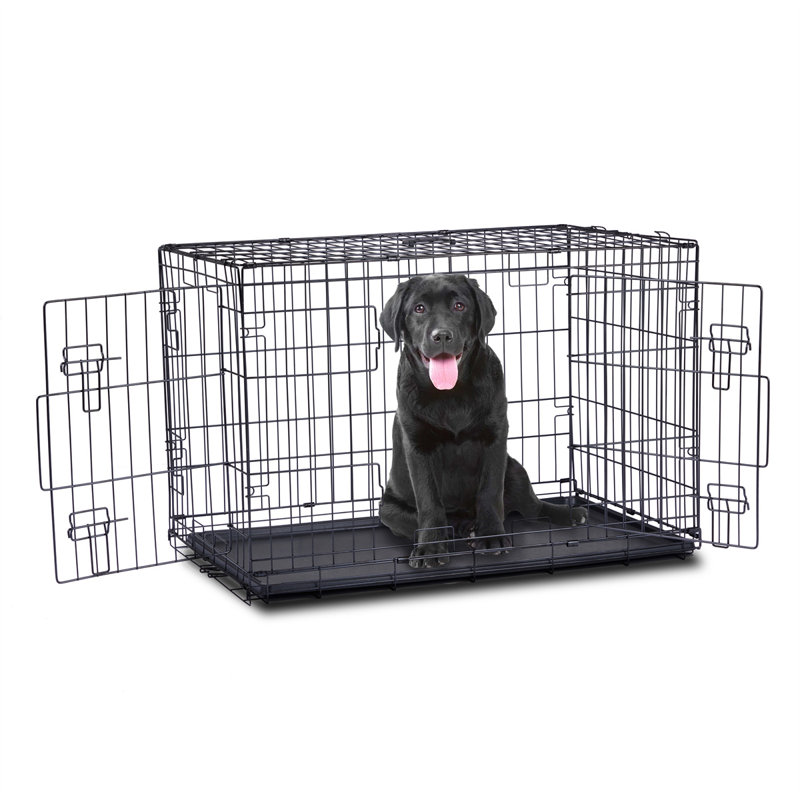 48 po avec chenil pliant pour chien, H 31,88 po x l 48 po x P 28 po