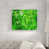 Plexi