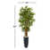 60'' Faux Bamboo Tree in Ceramic Planter