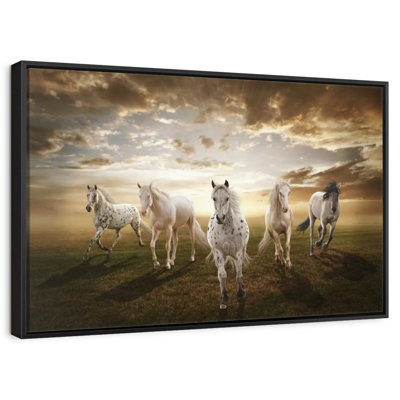 Chevaux blancs dramatiques
