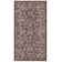 Amedee Performance Oriental Indoor/Outdoor Area Rug