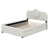 Blanc est en rupture de stock