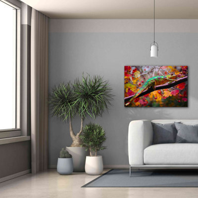 " Chameleons " by Ata Alishahi