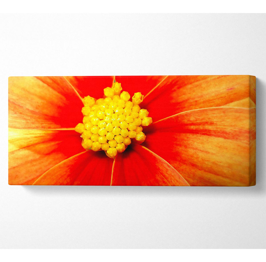 Orange Petal Delight - Kunstdrucke auf Leinwand