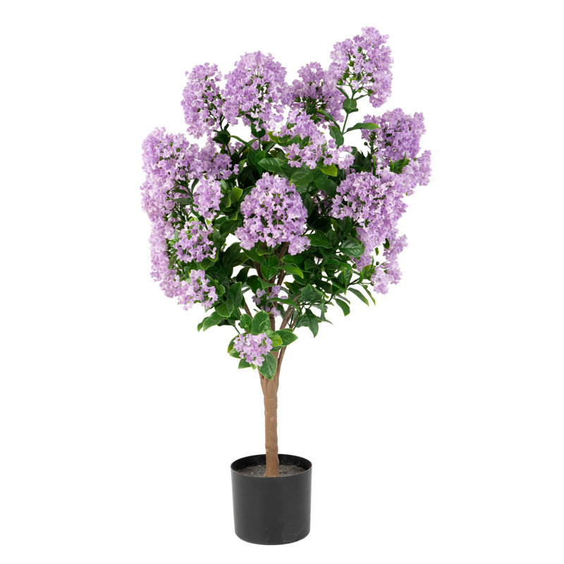 Out-Myrpl-36-1Pk, Mauve