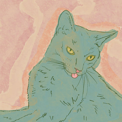 Sewzinski Amelia le chat