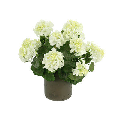 Outdoor Geranium in Fiberstone Pot