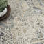 Benone Oriental Area Rug-456905882