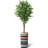 75 " H Faux Ficus Tree in Plastic Planter-97992060