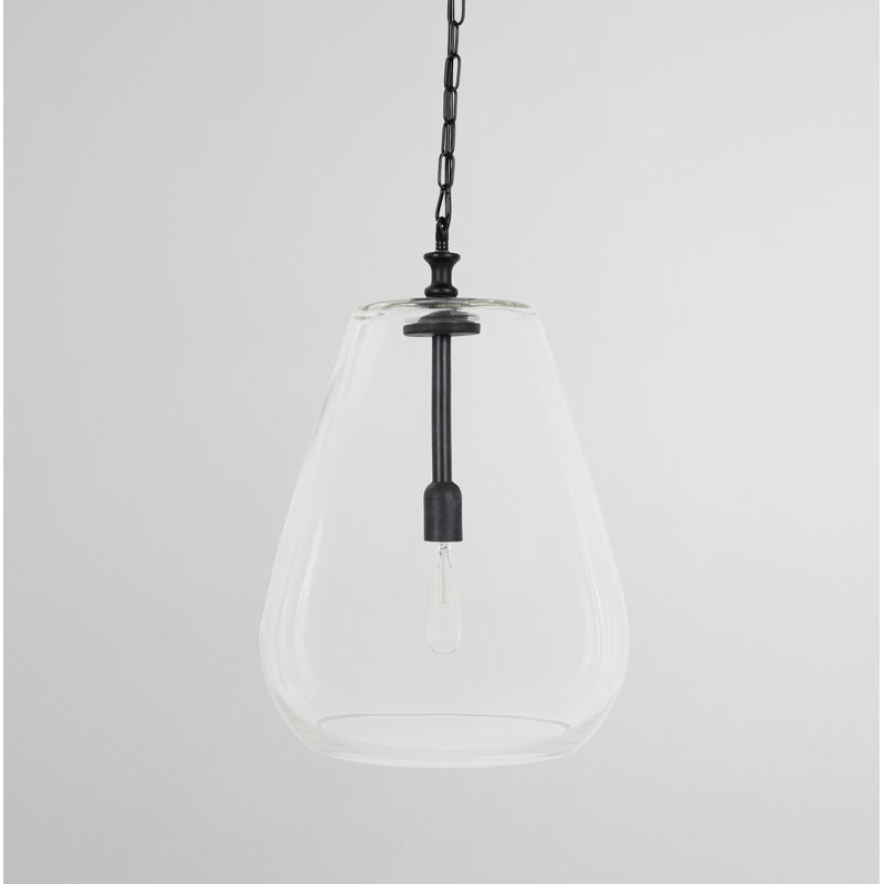 Matte Black Mini Pendant Light with Clear Glass Shade