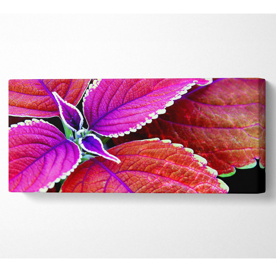 Rich Autumn Leaves - Panorama-Kunstdrucke auf Leinwand - Wrapped Canvas