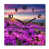 Black/Purple/Blue selected