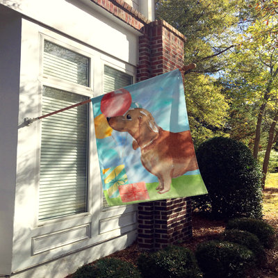 Double Sided 40'' H x 28'' W Polyester Animal House Flag
