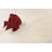 Shilo Indoor Rug-318583730