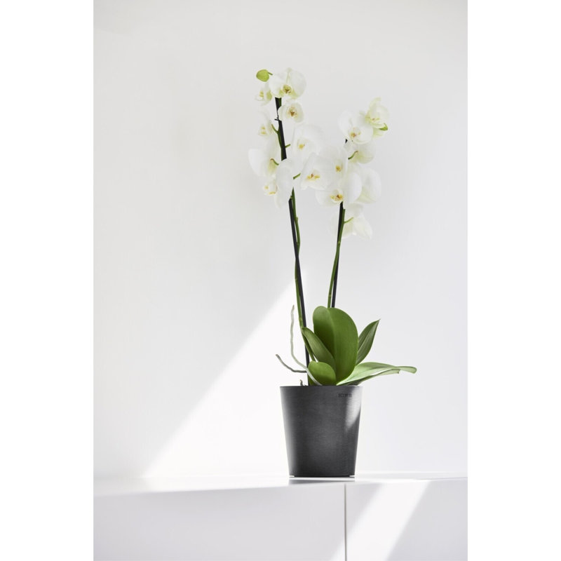 Pot Planter, Dark Gray
