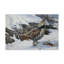 «Ruffed Grouse» de Berrien, impression sur toile tendue-27646382