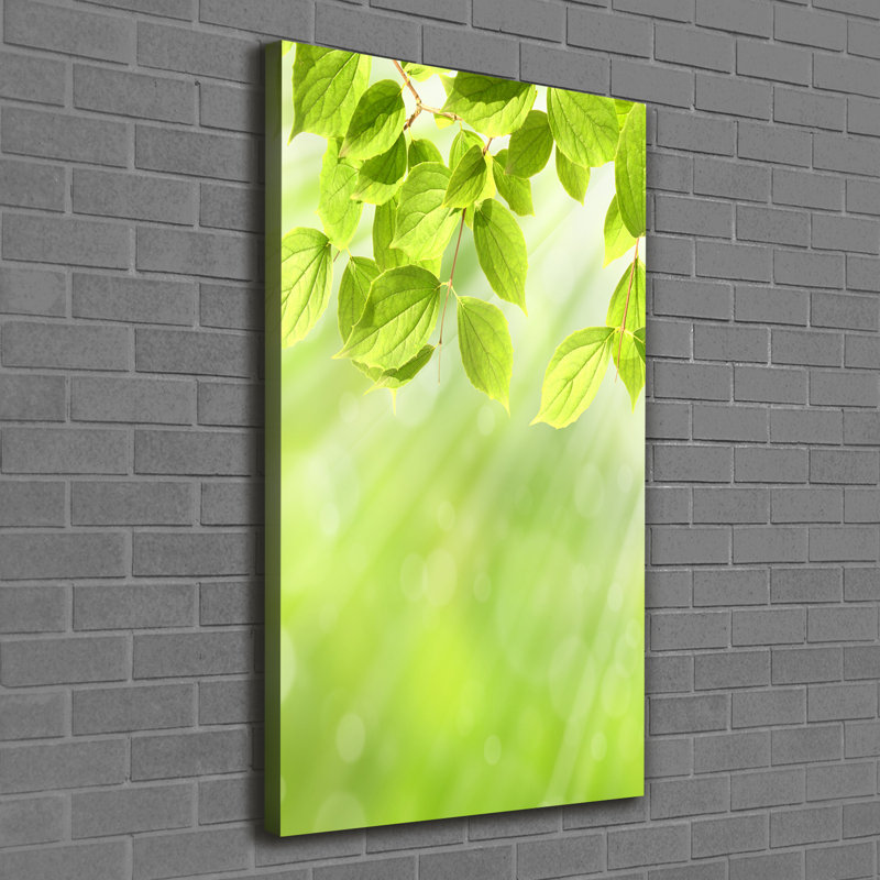 Dearing Green Leaves - Wrapped Canvas Print