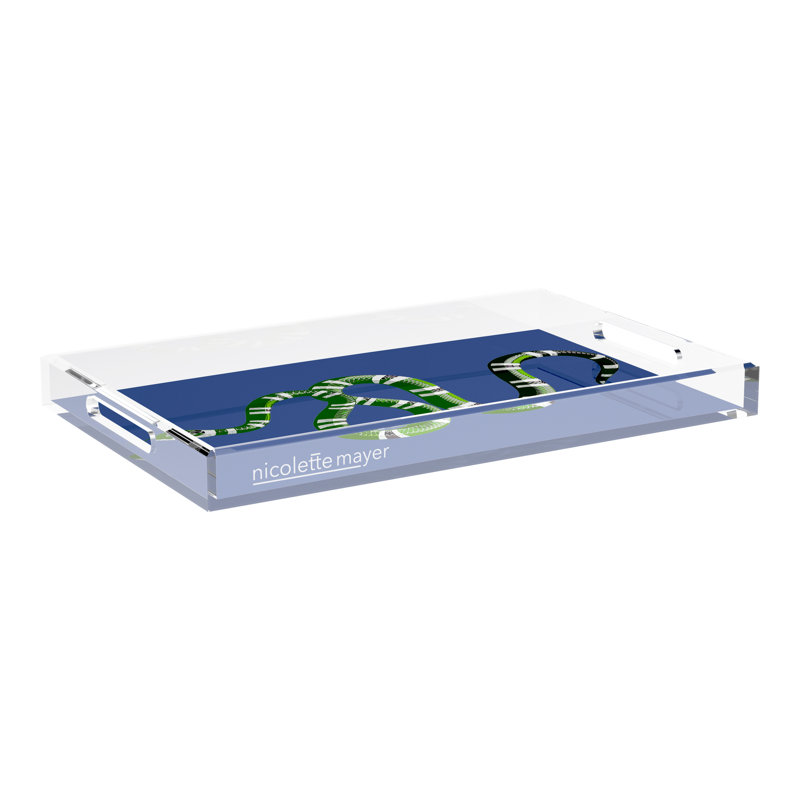 Plateau décoratif serpent en acrylique, Bleu, L 22,5 po x P 14,5 po x H 2 po