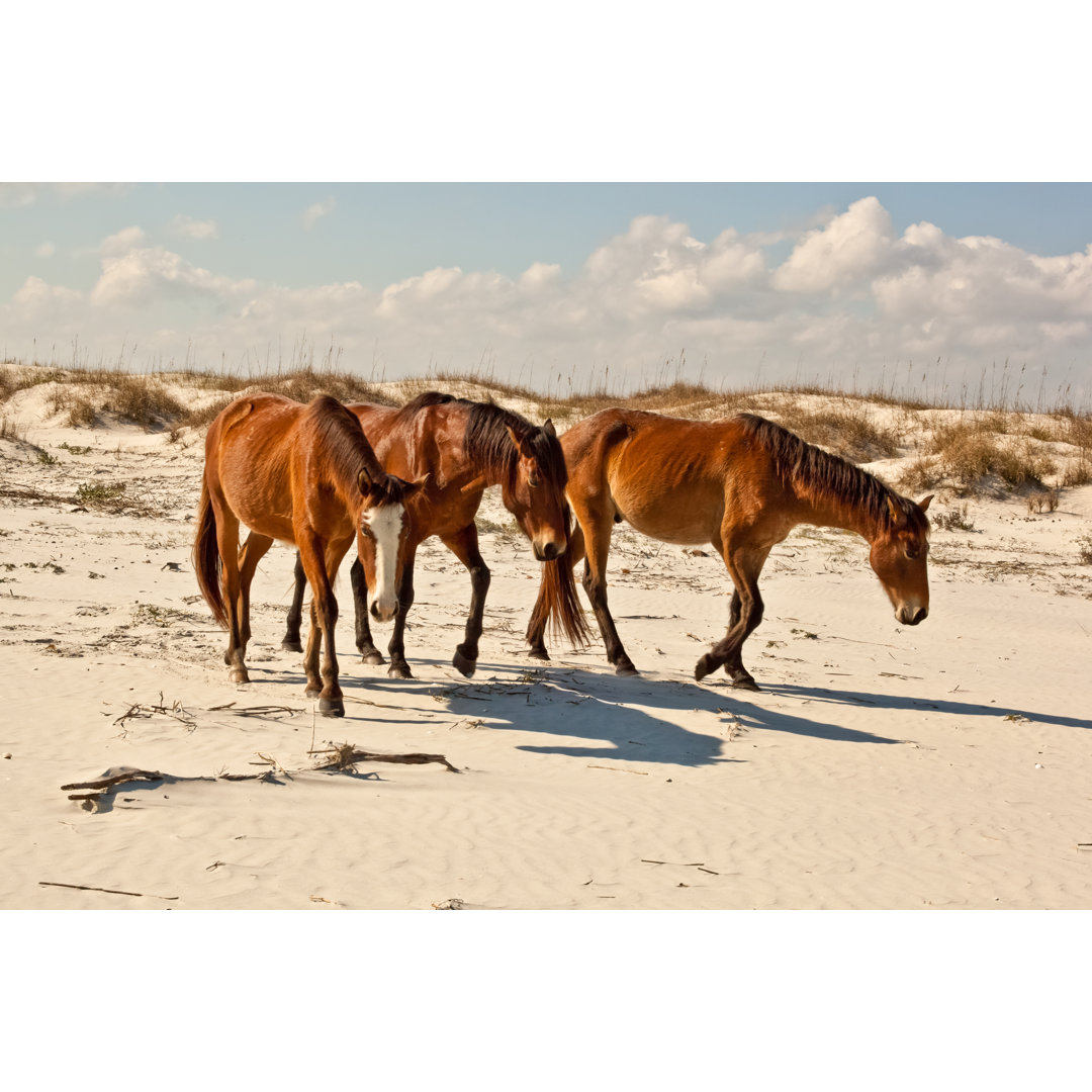 Strand Trio von BeachcottagePhotography - Druck auf Leinwand ohne Rahmen