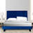 Dendrick Upholstered Tufted Velvet Bed-71942766-71942767