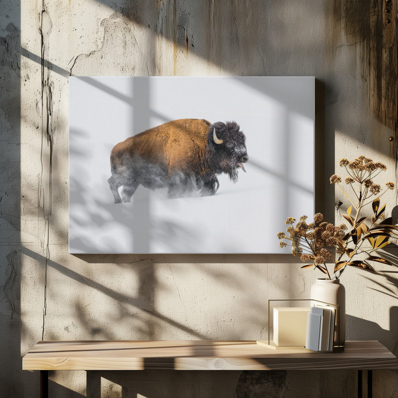 Wrapped Canvas Print, 60.96 cm H x 91.44 cm W