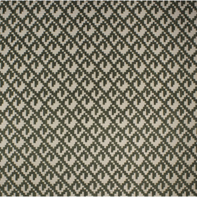 Tissu Standish 16C07